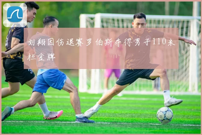 刘翔因伤退赛罗伯斯夺得男子110米栏金牌