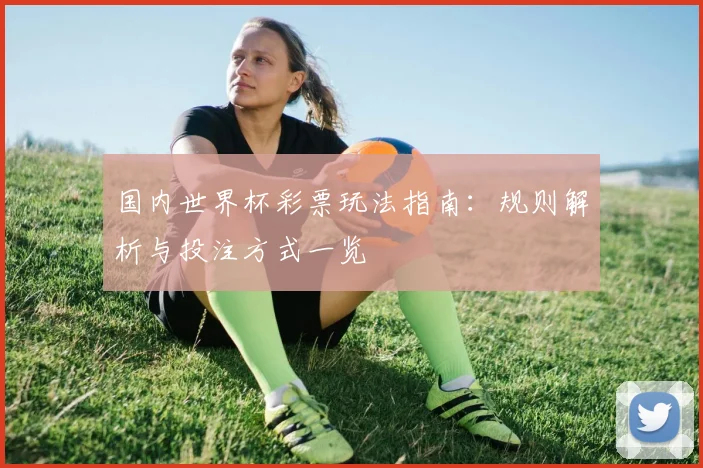 国内世界杯彩票玩法指南:规则解析与投注方式一览