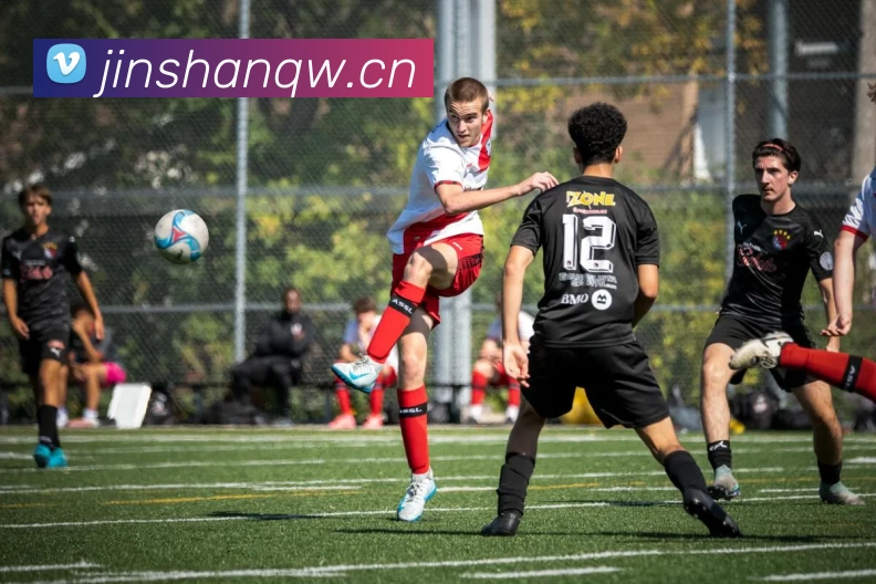 多媒体互动体验